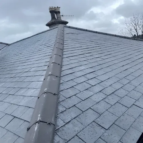 Recent roof project